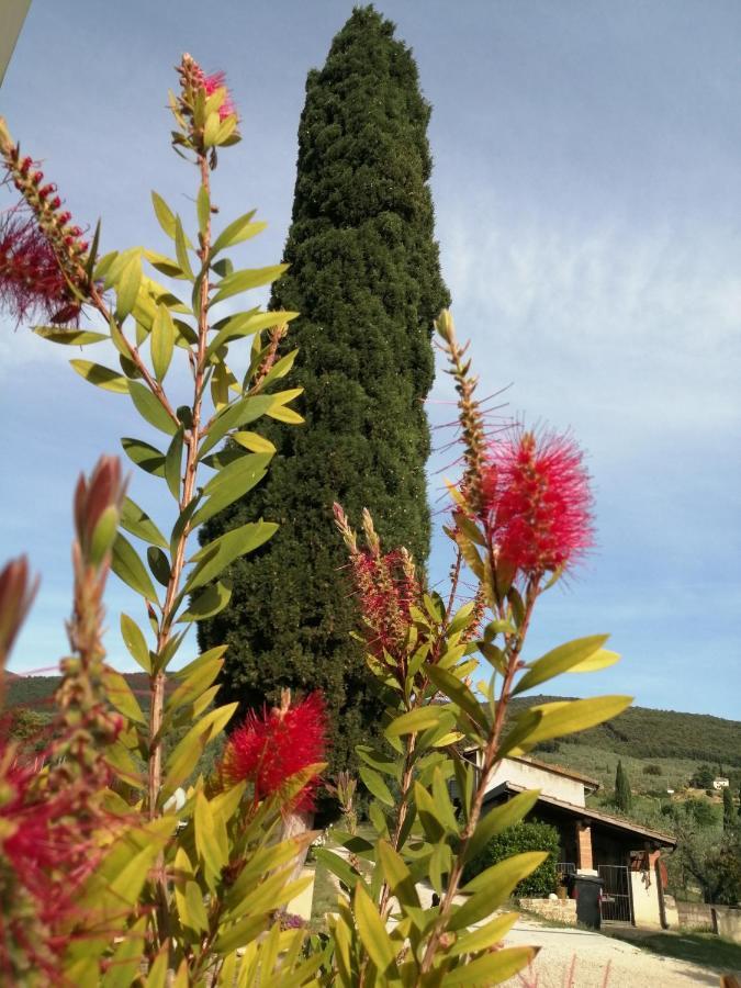 Borgo Buciardella Villa Baschi Екстериор снимка