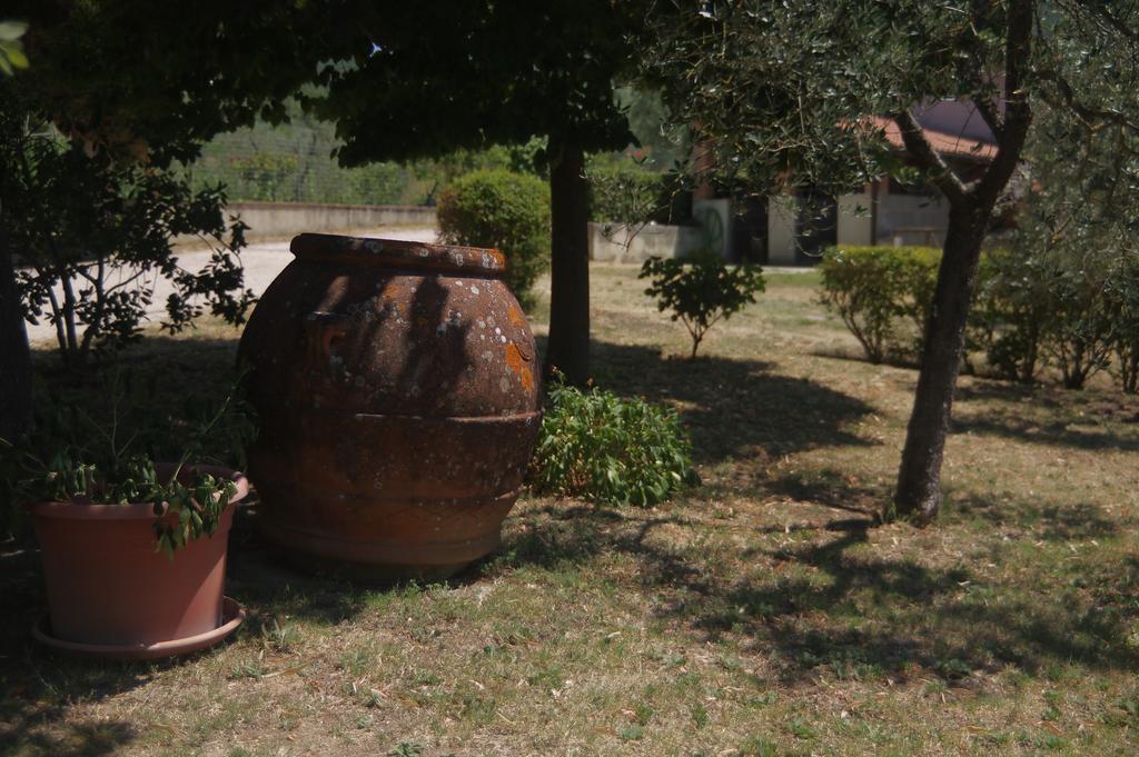 Borgo Buciardella Villa Baschi Екстериор снимка