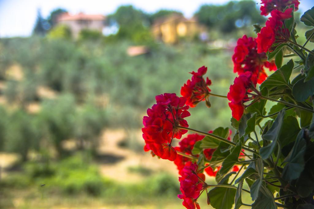 Borgo Buciardella Villa Baschi Екстериор снимка